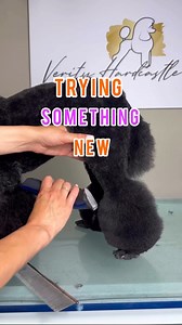 42K views · 978 reactions | Never Have I Ever… I’ve never done a...