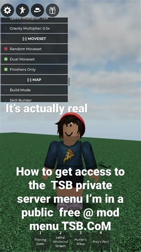 How to get access to the TSB private server menu works in public server go into the description