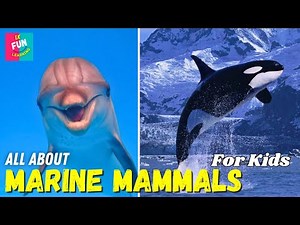 Marine Mammals for Kids - Fun Learning
