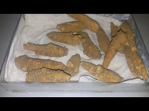 Ginseng Root for SOUP