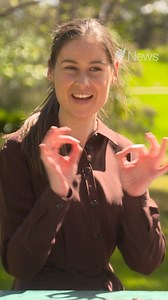 39K views · 278 reactions | Australian sign language, Auslan, is seeing a huge surge in people wanting to learn the language, following an increase in Auslan interpreters present during coronavirus and bushfire crisis updates. #IDSL2020 | SBS News | Facebook