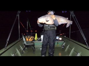 (WILSON LAKE) ALABAMA’S TROPHY CATFISH CAPITOL