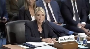 'That's A Great Picture': Pam Bondi Makes Desperate Attempt To Distract From Her Blatant Corruption During Outlandish Remarks In Senate Hearing