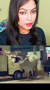 498K views · 10K reactions | गौ माता की जय  #sanatandharma #explorepage #hindu #jayshreeram | sanatani Puja Singh | Facebook