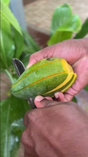 How to Slice a Mango Like a Pro | Perfect Mango Cutting Technique | Watch This Perfect Mango Cut! 🥭