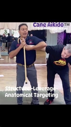 Cane Aikido™ -In Cane Aikido™, tool leverage, anatomical targeting-structure make it easier.