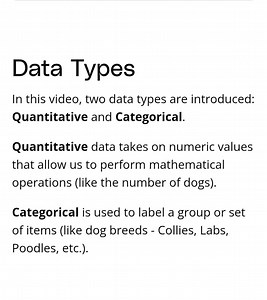 Data TypesIn this video, two data types are introduced: Quant... | Filo