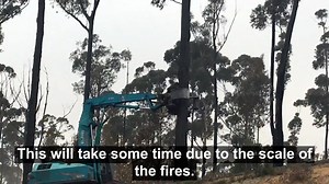 33K views · 517 reactions | Crews from CFA (Country Fire Authority),...