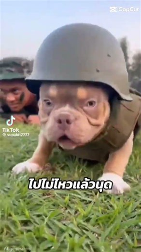 training soldiers for war