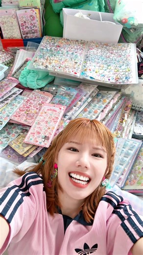 シールの整理方法とアイデア