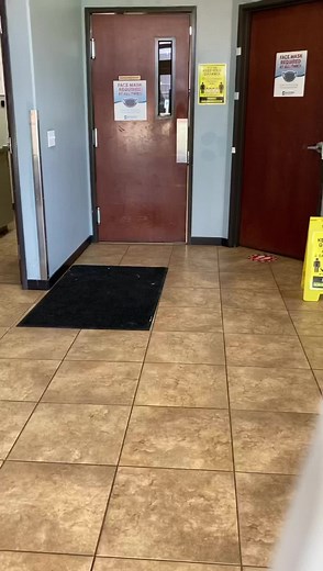 1.1K views · 31 reactions | Darby O’Gill had his femoral head ostectomy (FHO) surgery last week after coming to FDR with an injured hip. He is on the mend and will be running around in no time!! Go Darby go! ❤️#dogreels #reels #dogrescue #rescuedog #nonprofit #forgottendogsrescue #woof #seattle #tacoma #tricitieswa | Forgotten Dogs Rescue | Facebook