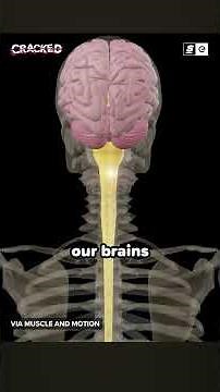 WHAT IS THIS AIM BOT?!