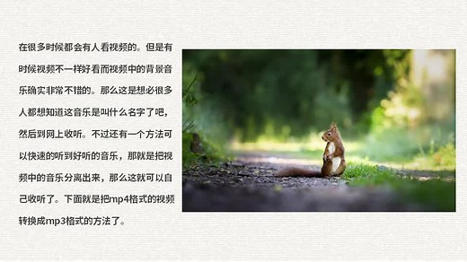 怎么把mp4格式的视频转换成mp3格式呢