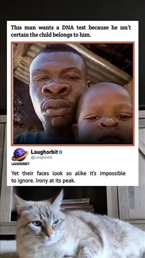 Copy Paste Baby | funny memes | relatable American memes | dank memes