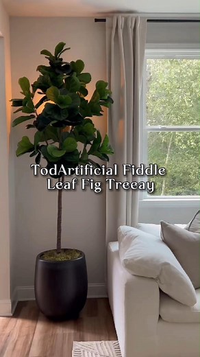 Can’t keep a real fiddle leaf fig alive? This one looks real—minus the stress. 🪴✨ #ModernHome #Amazon #amazonfinds #amazonmusthaves #homedecor #diyideas #designinspo #diydecor #homedecoration #DIYProjects #HomeStyling #DecorIdeas #RoomDecor #home #decor #homedeco #decorating #SmartHome #HomeUpgrade #InteriorDesignInsp #HomeSafety #lifehacks | Decorative Expressions