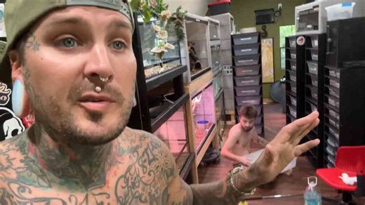 How a missing cobra triggered an urgent community-wide alert