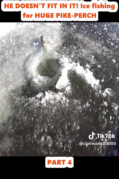 Ice Fishing for Huge Pike-Perch: Don't Miss Out!