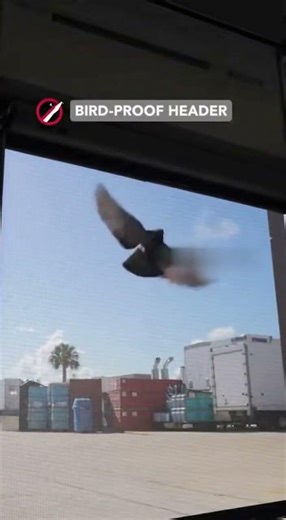 Stop the Invasion: Roll-Up Bug Screens to Keep Birds and Insects Out of Your Dock