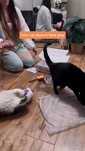 87 reactions | Treat your cat to a unique monthly surprise with...