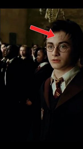 Why Everything Appears Reversed in This Harry Potter Scene