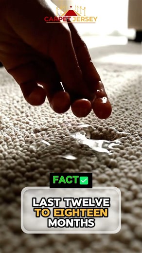 Avoid Over-Applying Carpet Protector: Here’s Why!