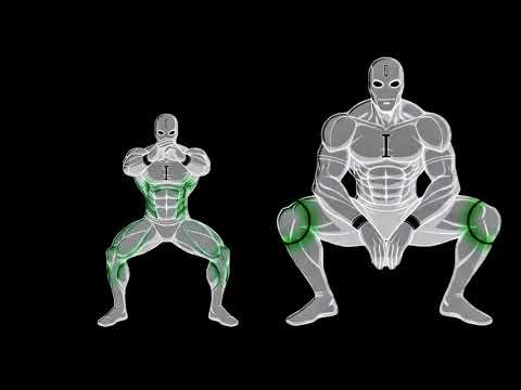 Doing 50 Squats Every Day - what Happens.