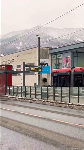 #61🇳🇴 Bergen Street Vibes 🚋🚌🚗 | Streets & Nature 🌿🚶 | 4K