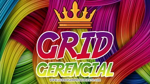 ▷ Grid Gerencial | Líder del Emprendimiento