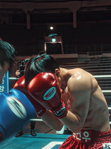 One Punch: The Ultimate Knockout Moment in Boxing