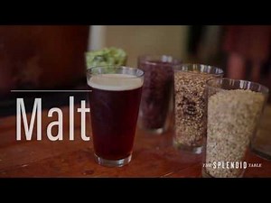 Seven Beer Categories and How to Pair Them