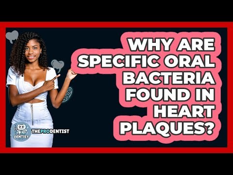 Why Are Specific Oral Bacteria Found In Heart Plaques? - The Pro Dentist