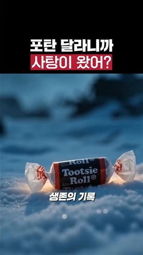 전쟁 영웅이 된 사탕의 기적🍬