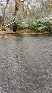 5.8K views · 485 reactions | A Sunday morning meditation from Chicagoland. | Susan Elizabeth Phillips | Facebook