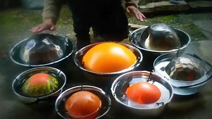 5.8K views · 98 reactions | The most UNUSUAL musical instruments of the world! Which one is your favorite? :) | BuyeReviews | Facebook