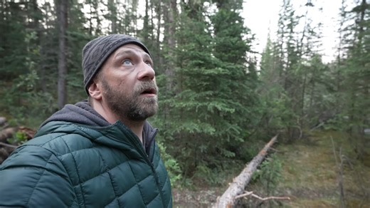 I slept 14 feet up in a tree… what could go wrong?