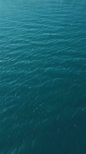 Every truss, every cable, every spark… this is where it all starts. ⚡ #DTMFbehindthescenes | DTMF