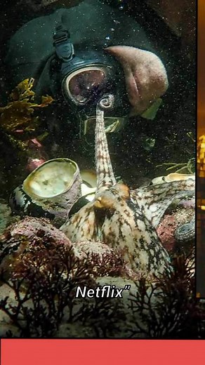 Breaking: Netflix’s top 30 docs just got reshuffled—late ’24/’25 drops critics are obsessed with 🔥 Start new→old. What are we queuing first? 👀 #netflix #documentary #docuseries #truecrime #2025 | Curating Pop Culture