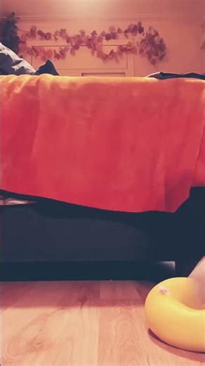 golpes al pato gordo🦆