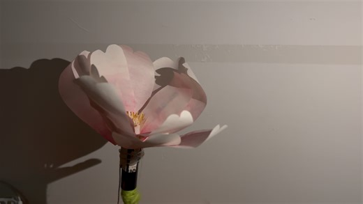 Arduino控制花的开合