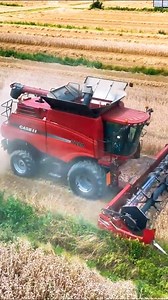Case ih combine harvester during wheat harvesting time today | Big Machines
