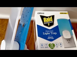 My Mosquito and Fruit Fly 6 Week Results with Raid Flying Insect Light Trap Starter Kit