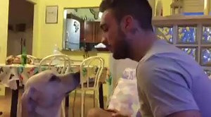 231K views · 6.8K reactions | Dog AplogizingBEST APOLOGY OF THE YEAR! Watch this cute dog apologize to his owner, it will melt your heart I Love Dogs Dogs Dogs World Dog Lovers The Dogington Post | Dirty Dog Daily | Facebook