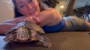 1.5K views · 62 reactions | SHE WAVED. #turtle #petturtle #redearedslider #exercise #wave #TurtleWave | Batya Kestenbaum | Facebook