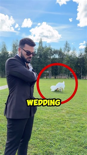 Brides Wedding Dress Got Ruined for the Trend… 😱😭 #wedding #weddingdress #fashion #funny #shorts
