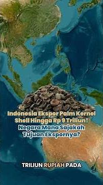 5 Negara Tujuan Ekspor Palm Kernel Shell Asal Indonesia