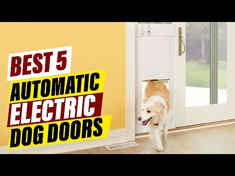 Best Automatic Dog Doors: A Comprehensive Guide