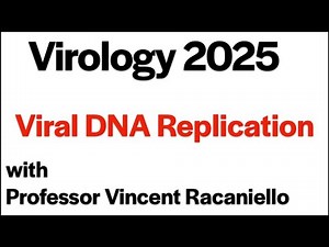 Virology Lectures 2025 #8: Viral DNA replication