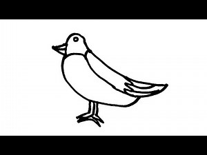 How to Draw a Bird for Kids Easy