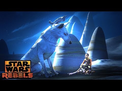 Flight of the Defender: Unlikely Ally | Star Wars Rebels | Disney XD