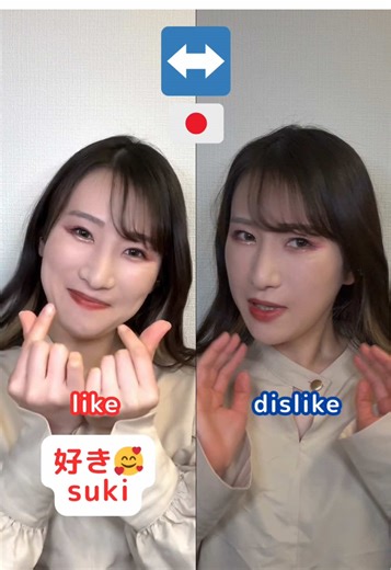 Essential Japanese Words and Phrases for Travelers